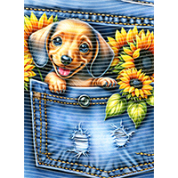 Animal Text Series-AT 2373